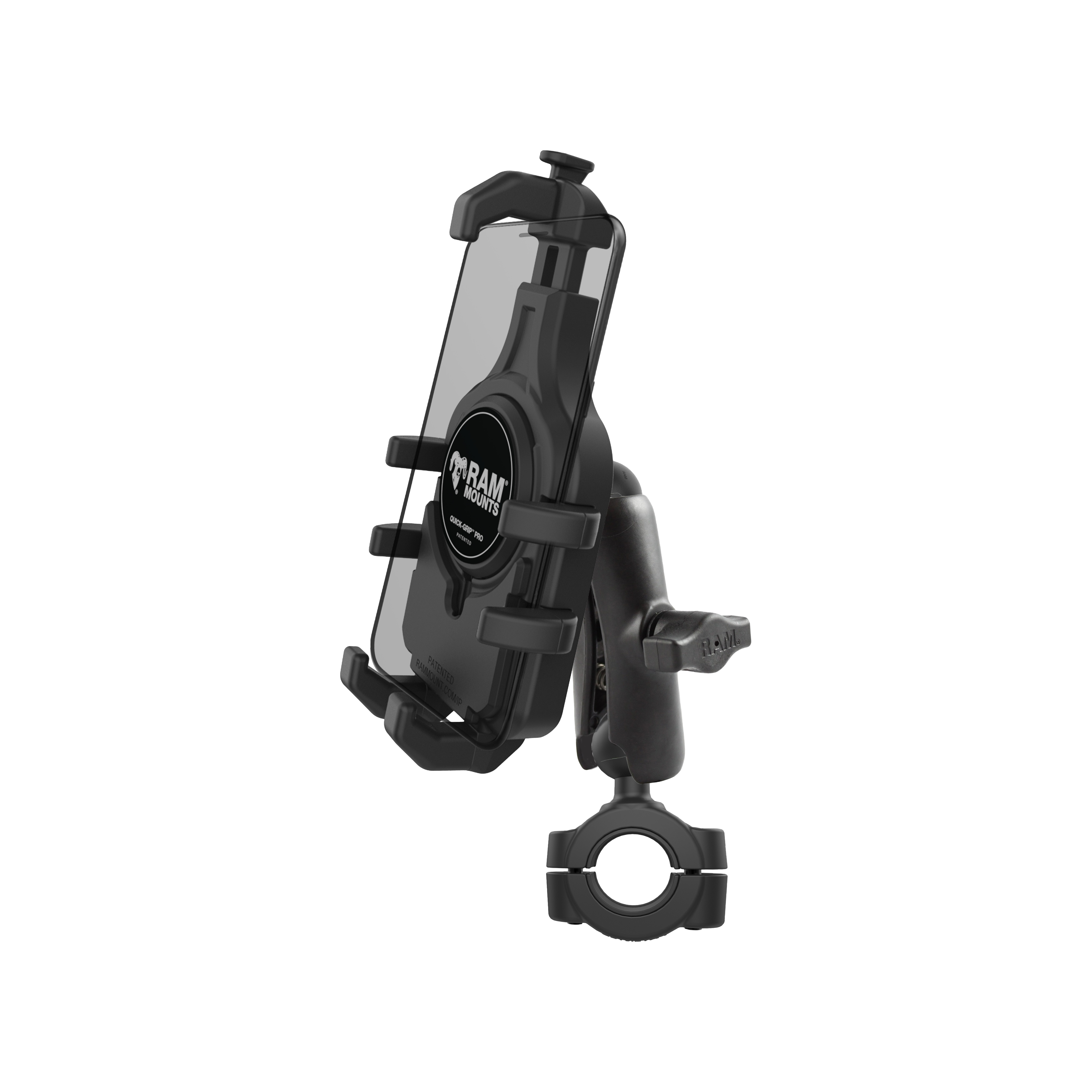 Daisy on the Ohoopee