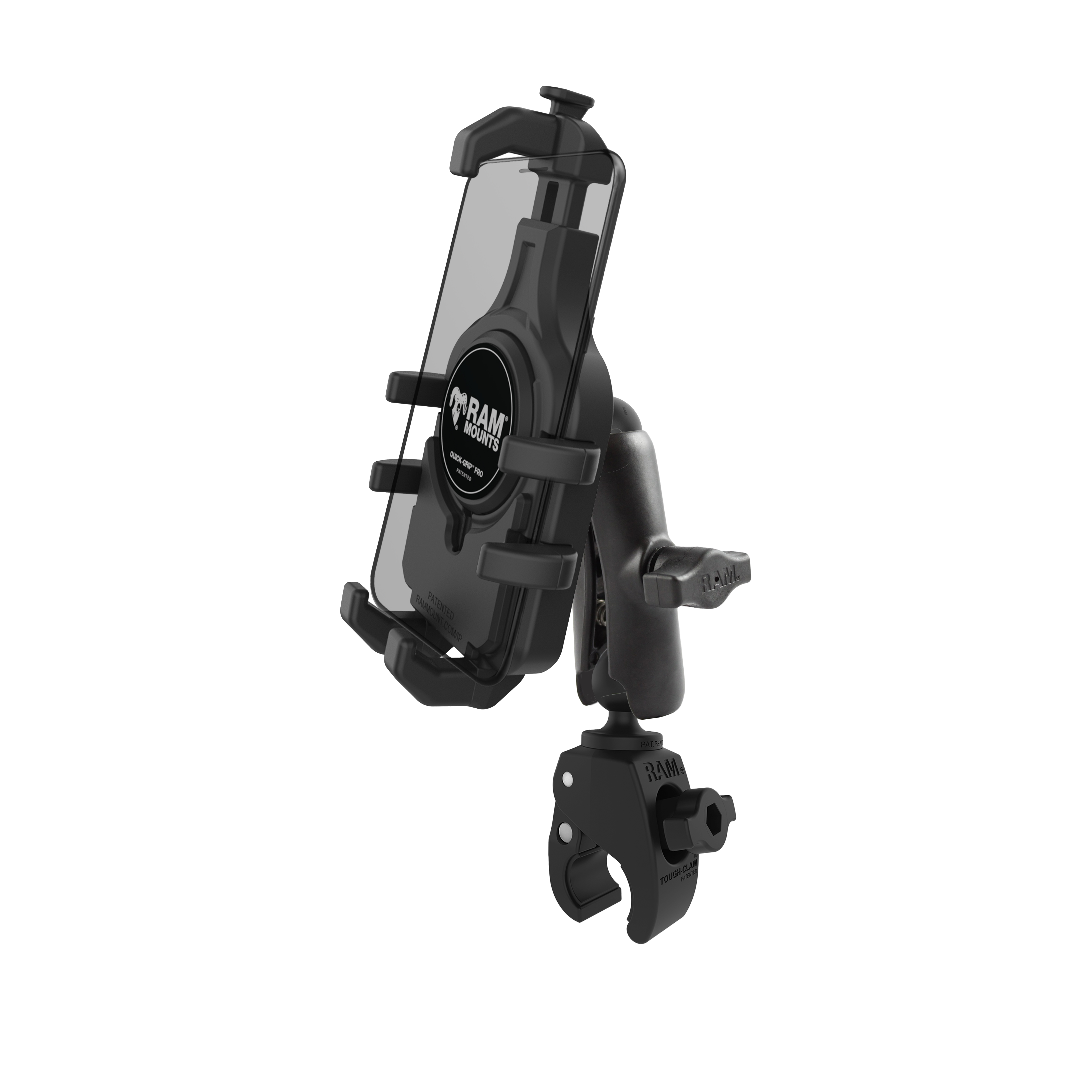 Daisy on the Ohoopee