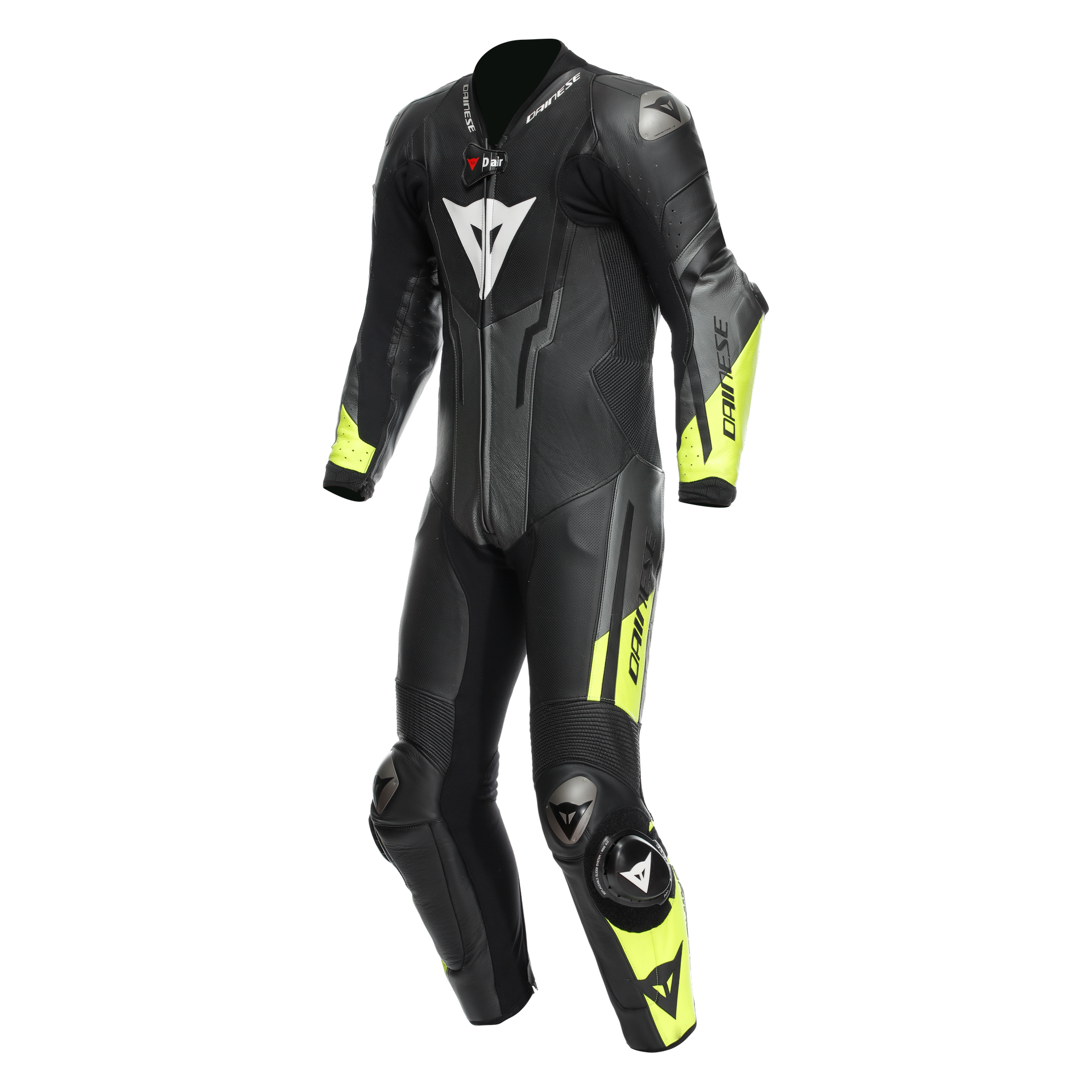 Daisy on the Ohoopee