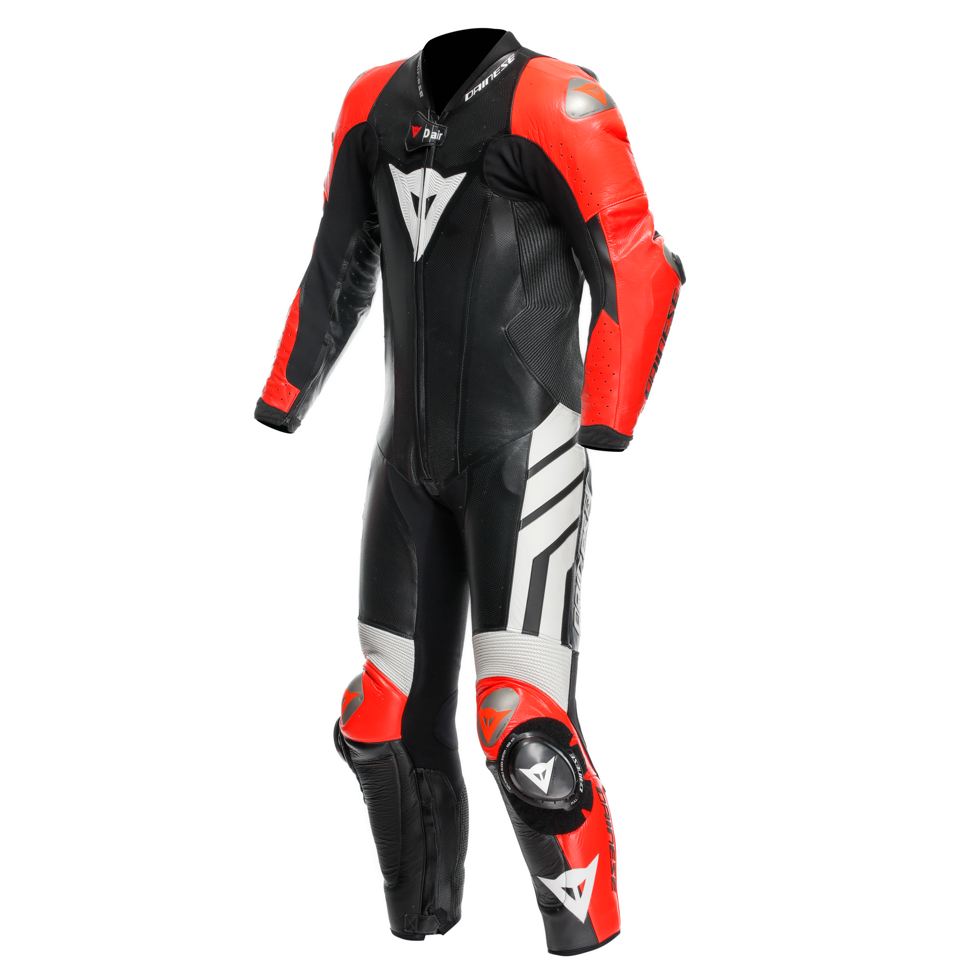 Daisy on the Ohoopee