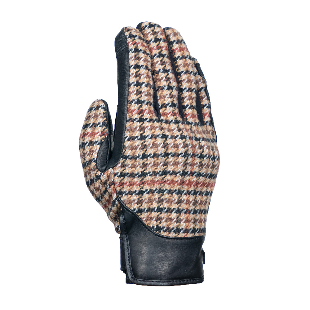 Daisy on the Ohoopee