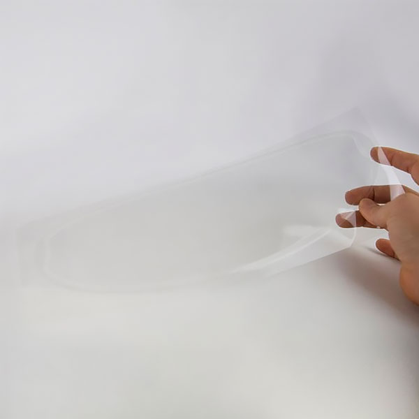 Daisy on the Ohoopee