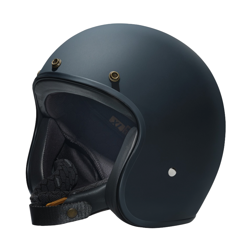 Daisy on the Ohoopee