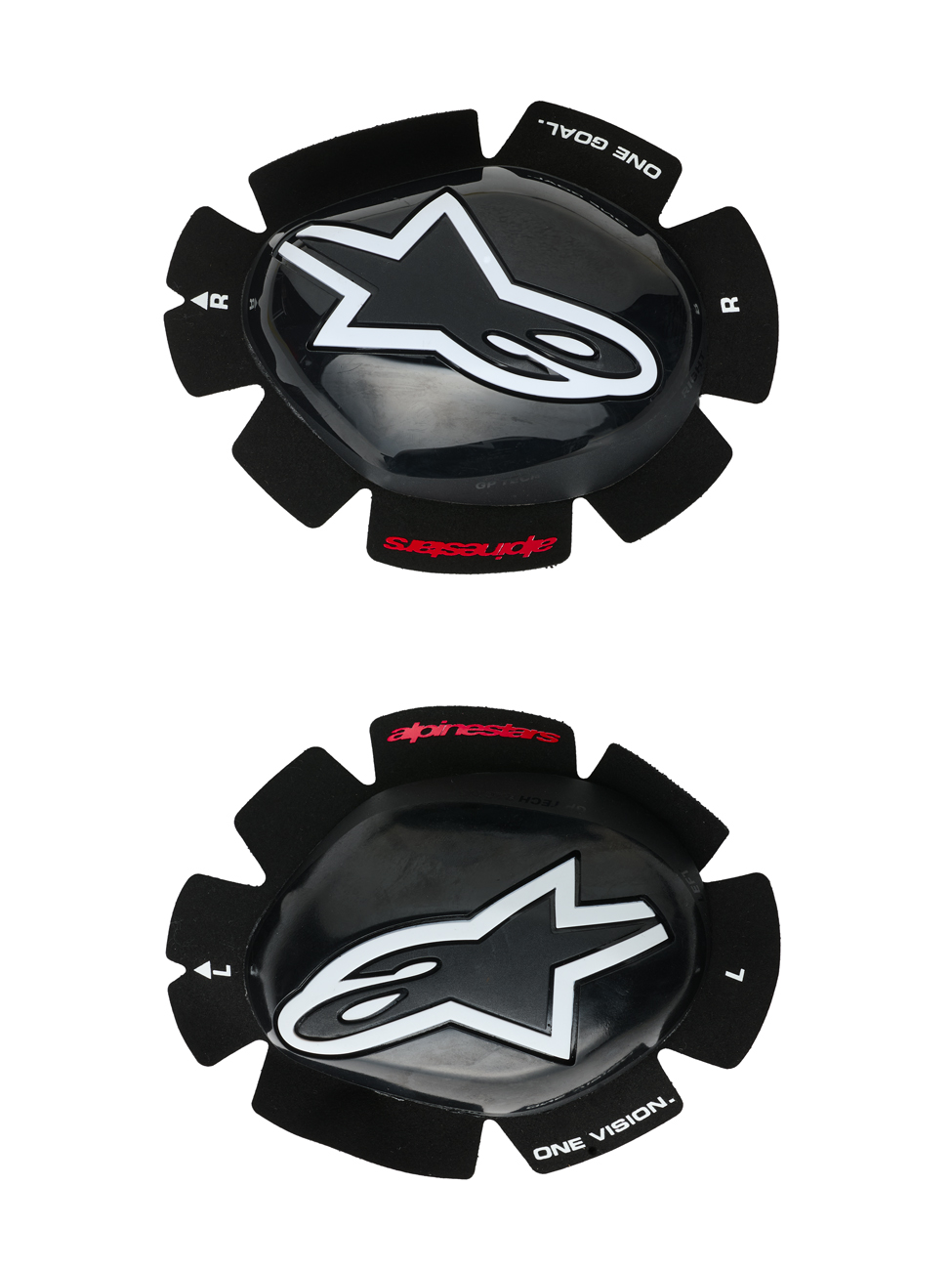 Daisy on the Ohoopee