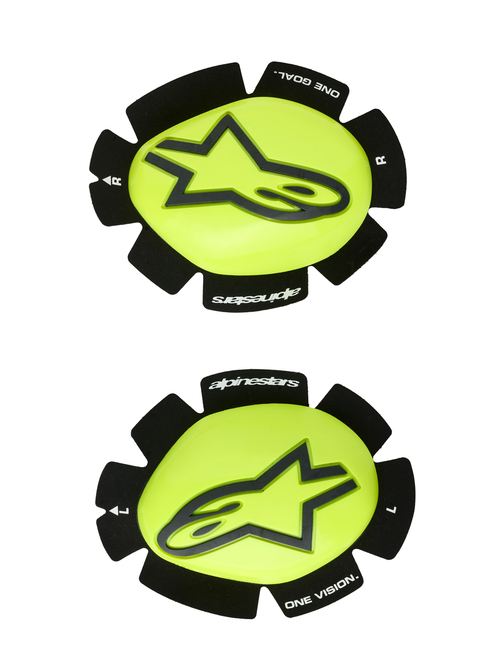 Daisy on the Ohoopee