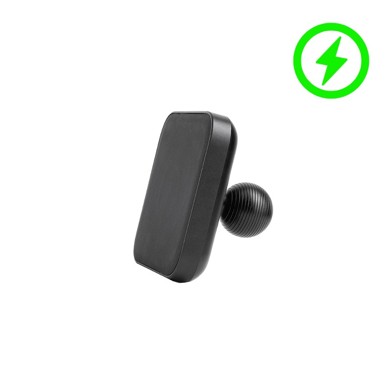 Daisy on the Ohoopee