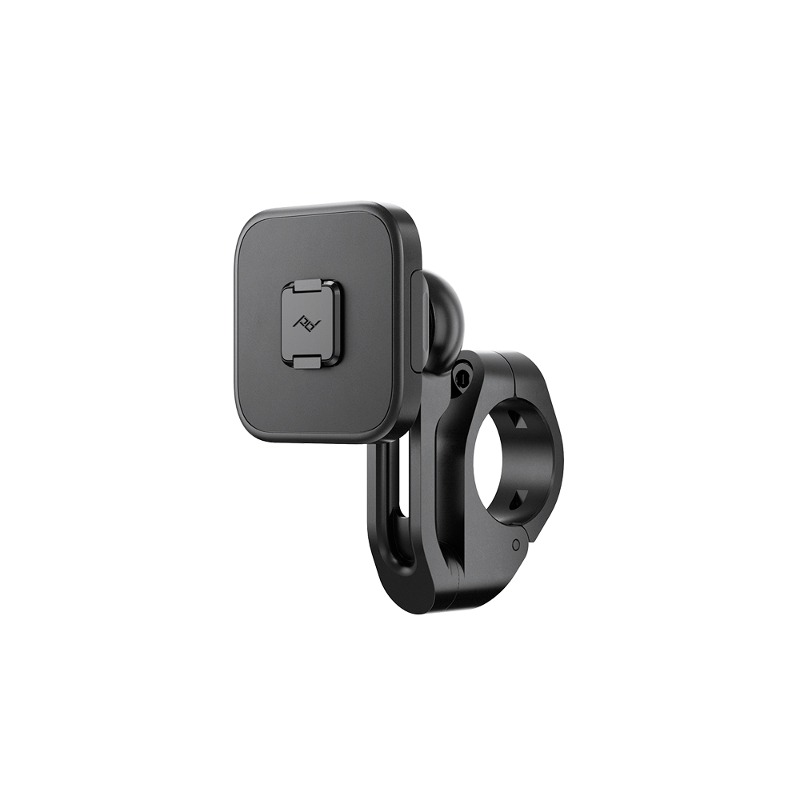 Daisy on the Ohoopee