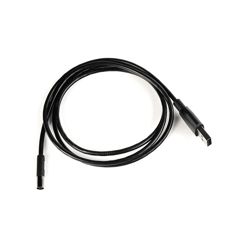 Daisy on the Ohoopee