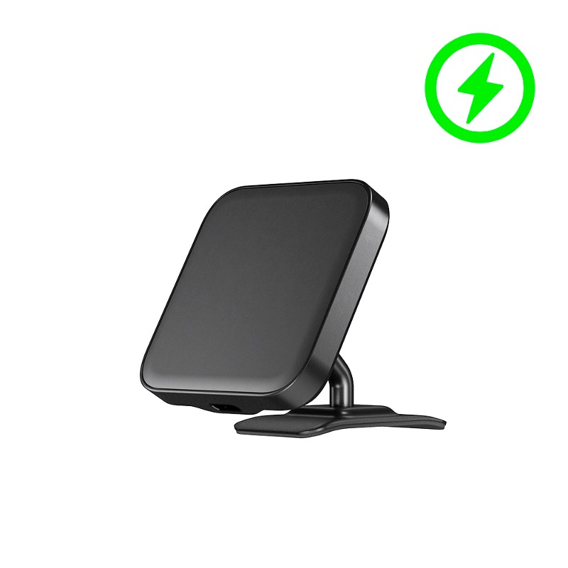 Daisy on the Ohoopee