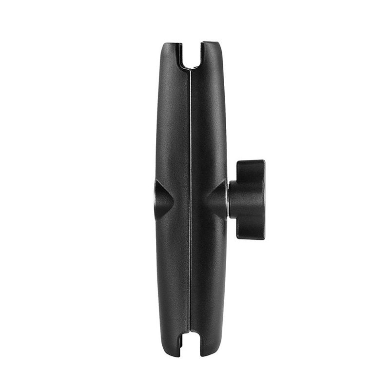 Daisy on the Ohoopee