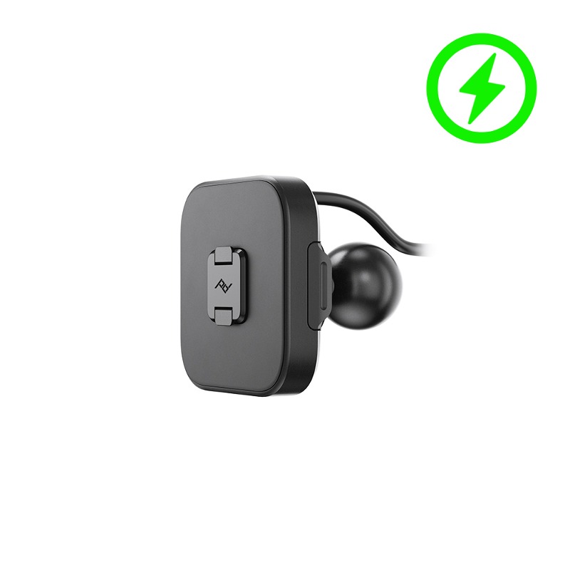 Daisy on the Ohoopee