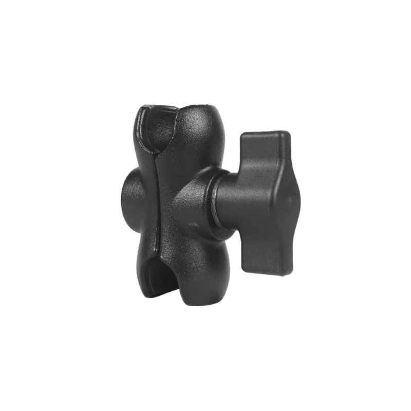 Daisy on the Ohoopee