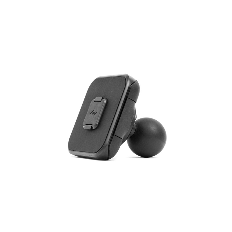 Daisy on the Ohoopee