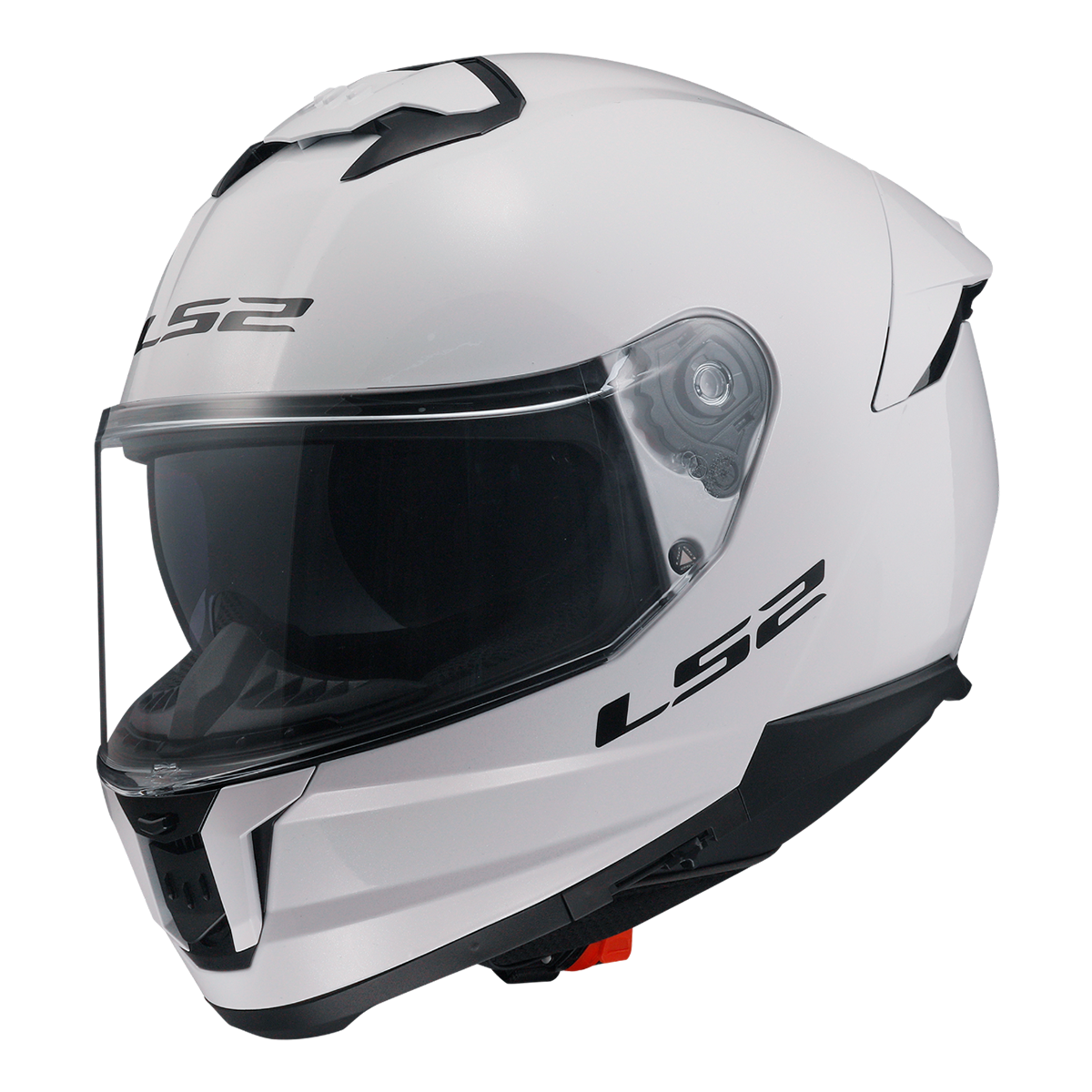 Daisy on the Ohoopee