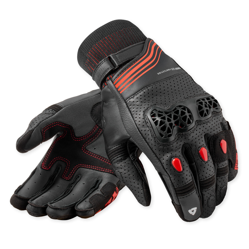 Daisy on the Ohoopee