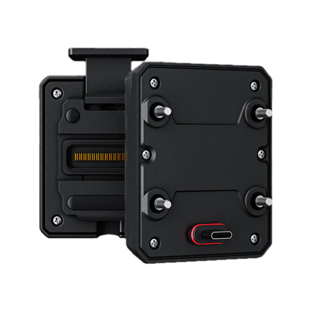 Daisy on the Ohoopee