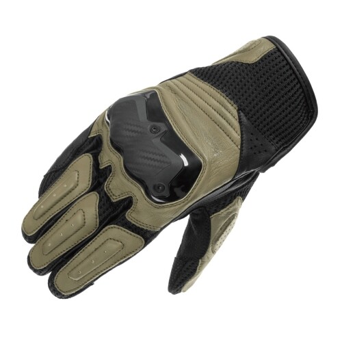 Daisy on the Ohoopee