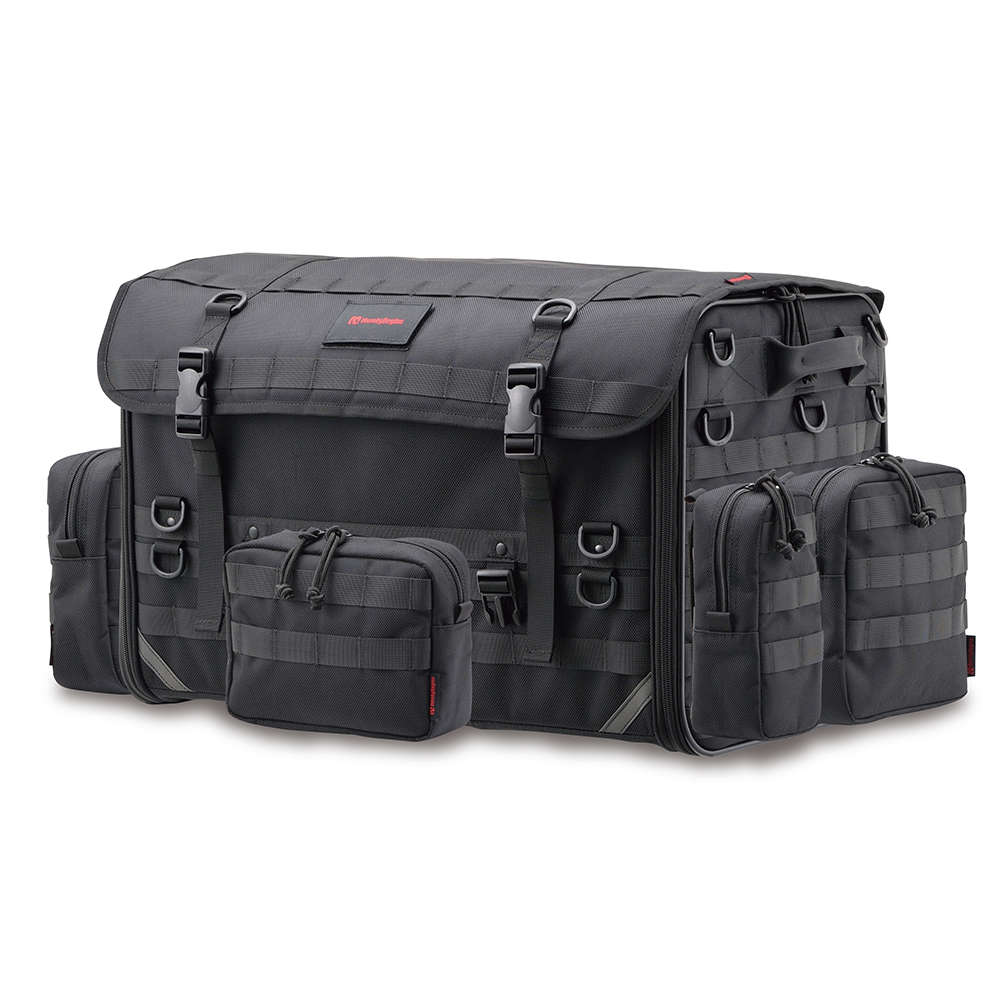 Daisy on the Ohoopee