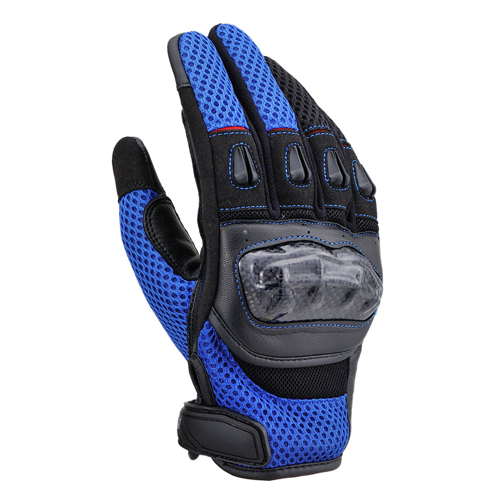 Daisy on the Ohoopee