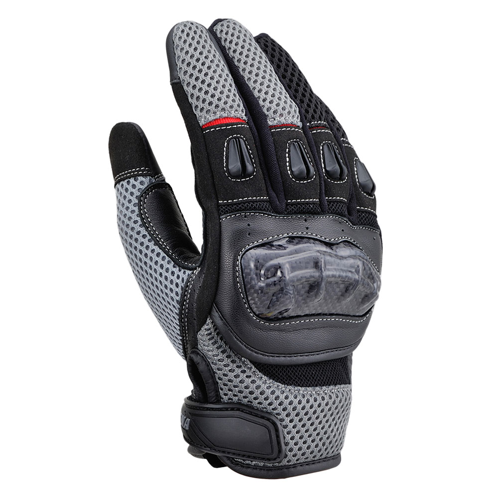 Daisy on the Ohoopee