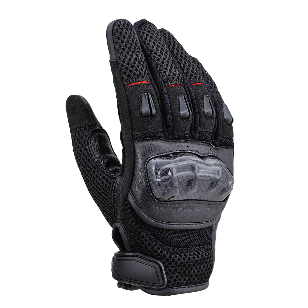 Daisy on the Ohoopee