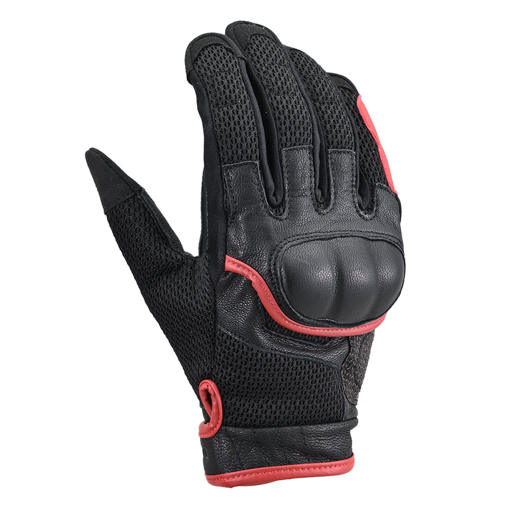 Daisy on the Ohoopee