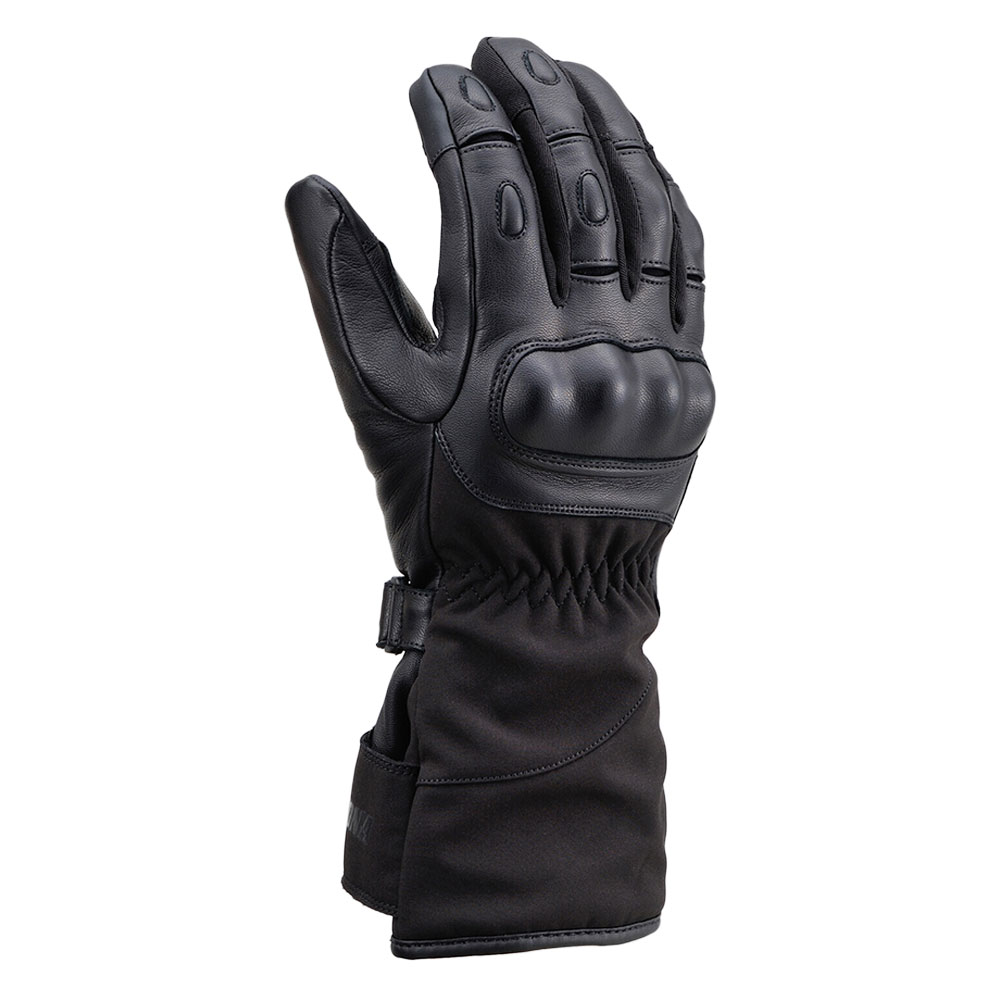 Daisy on the Ohoopee