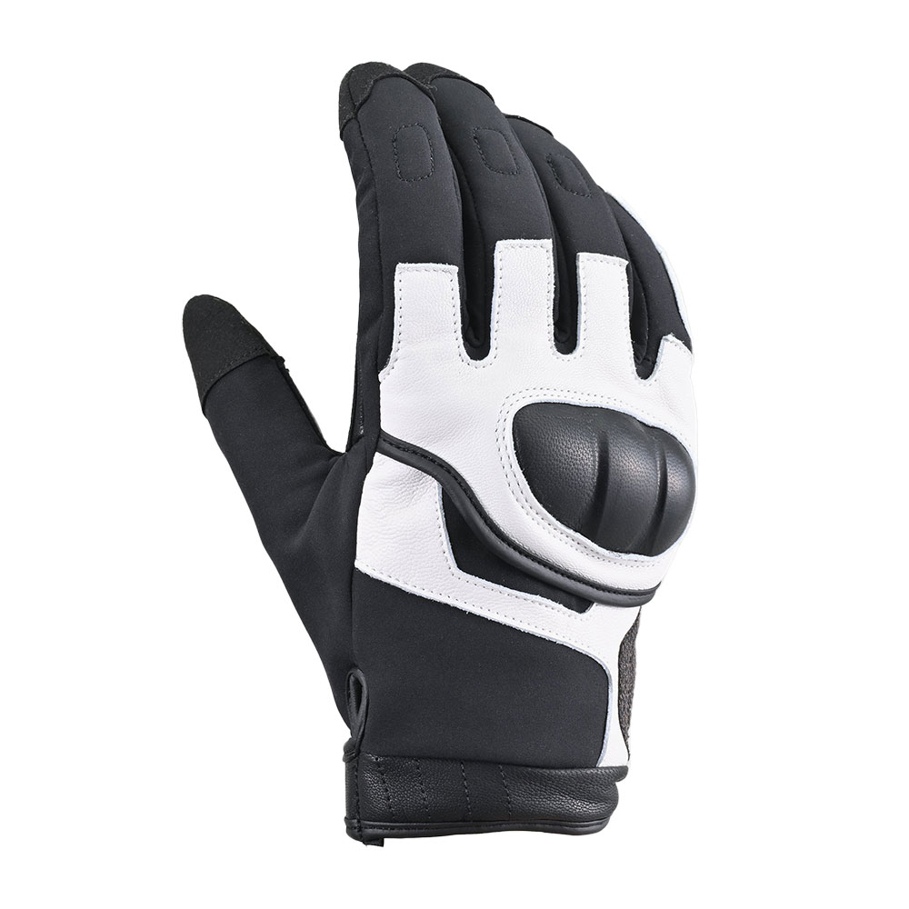 Daisy on the Ohoopee