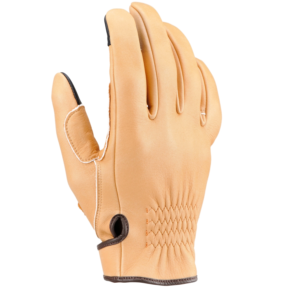 Daisy on the Ohoopee