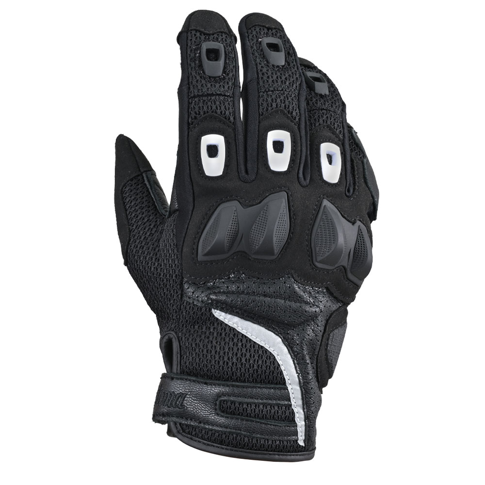 Daisy on the Ohoopee