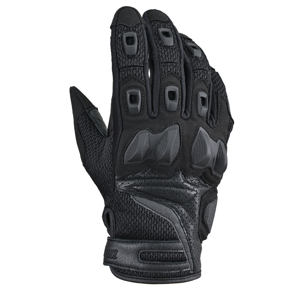 Daisy on the Ohoopee