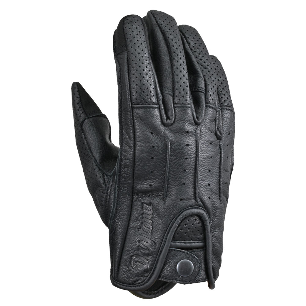 Daisy on the Ohoopee