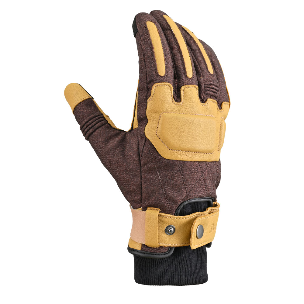 Daisy on the Ohoopee