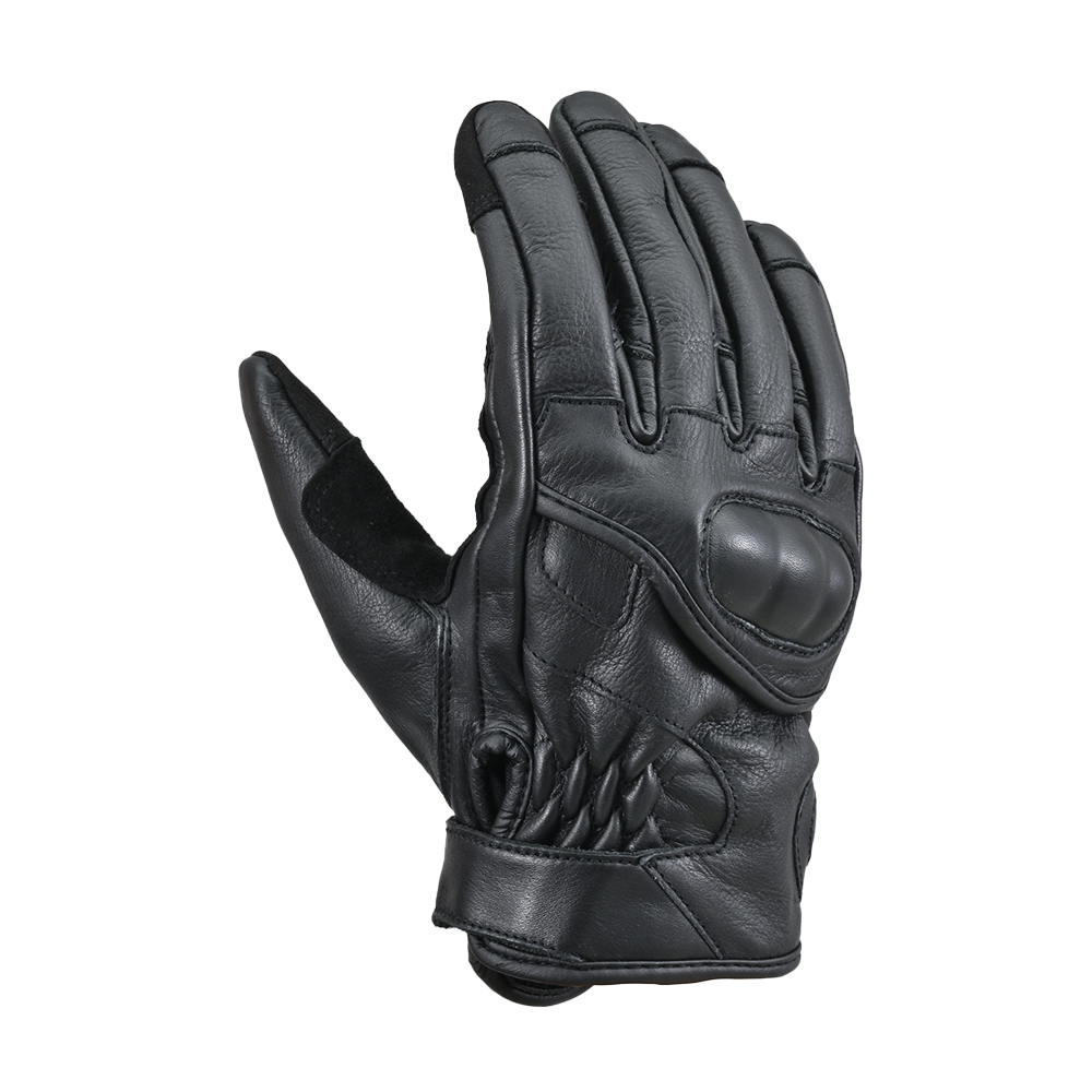 Daisy on the Ohoopee